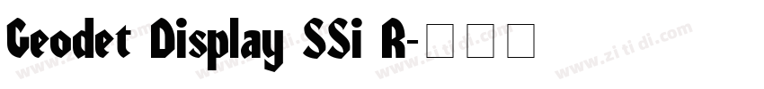 Geodet Display SSi R字体转换